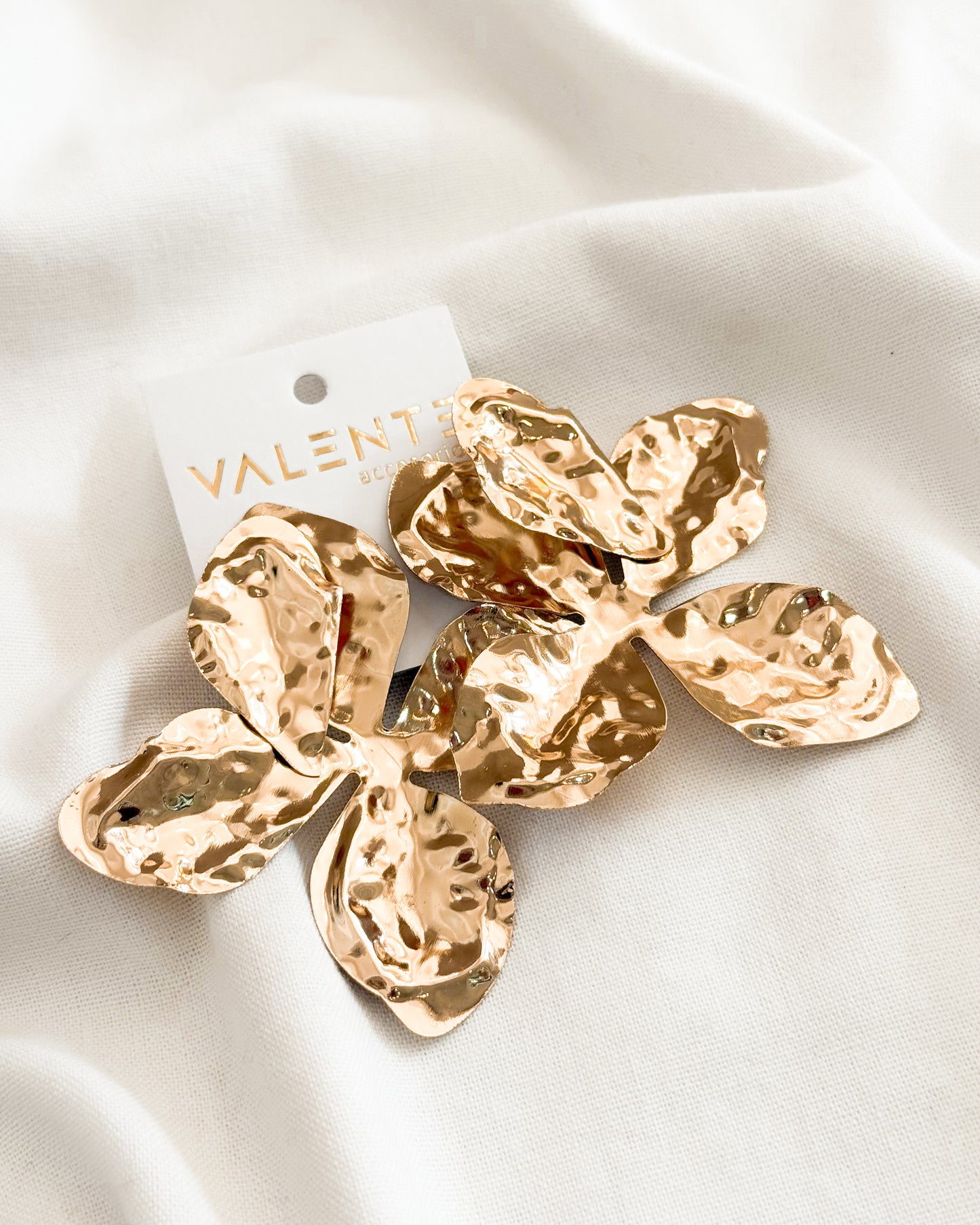 Caravanas Fiesta F550