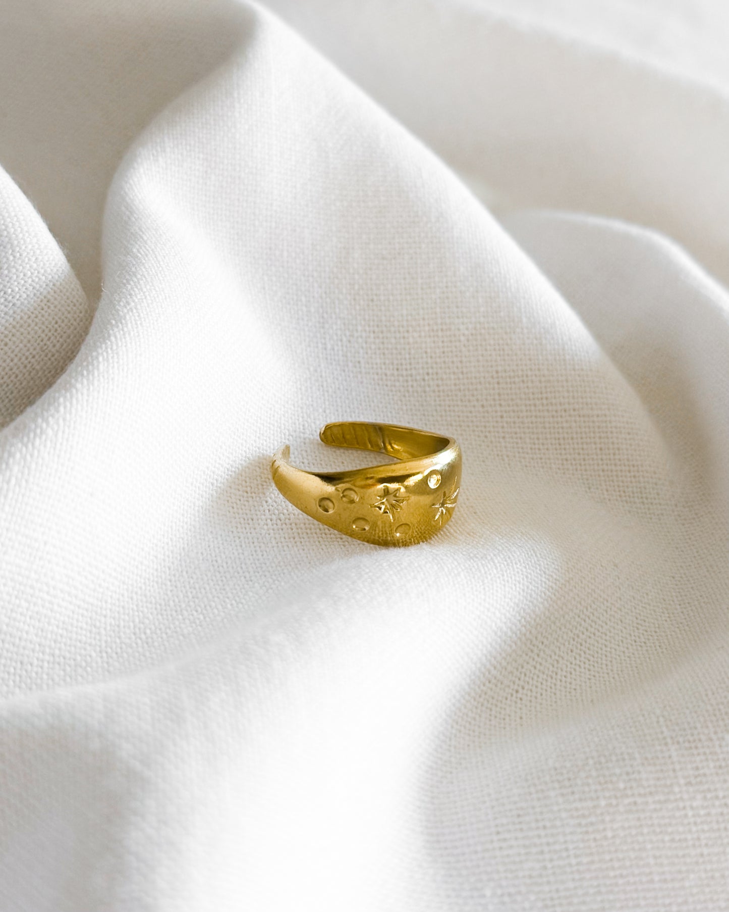 Anillo Acero Dorado AN-14