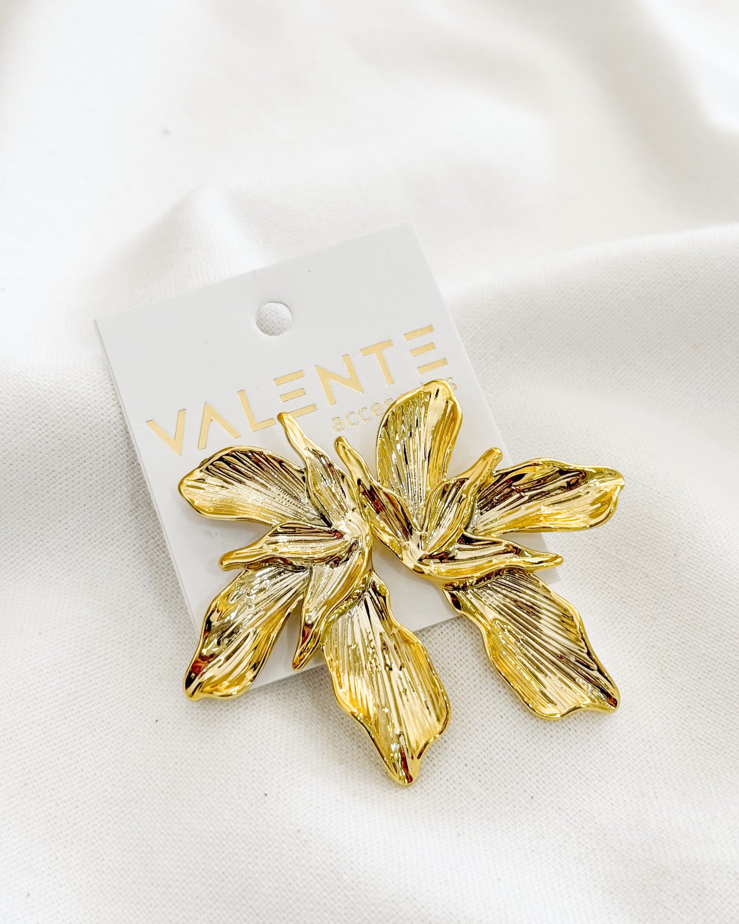 Caravanas Fiesta F589