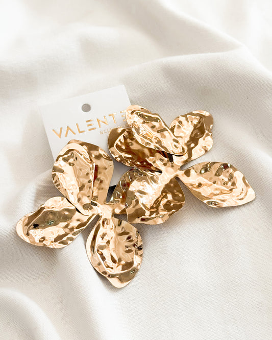 Caravanas Fiesta F550