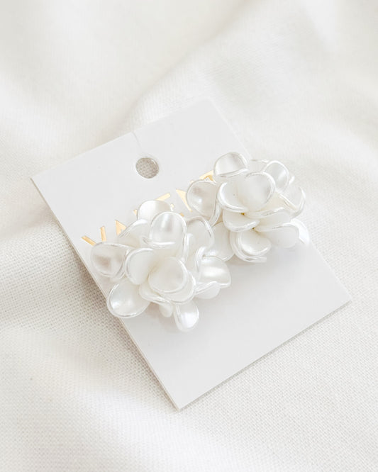 Caravanas Fiesta F546