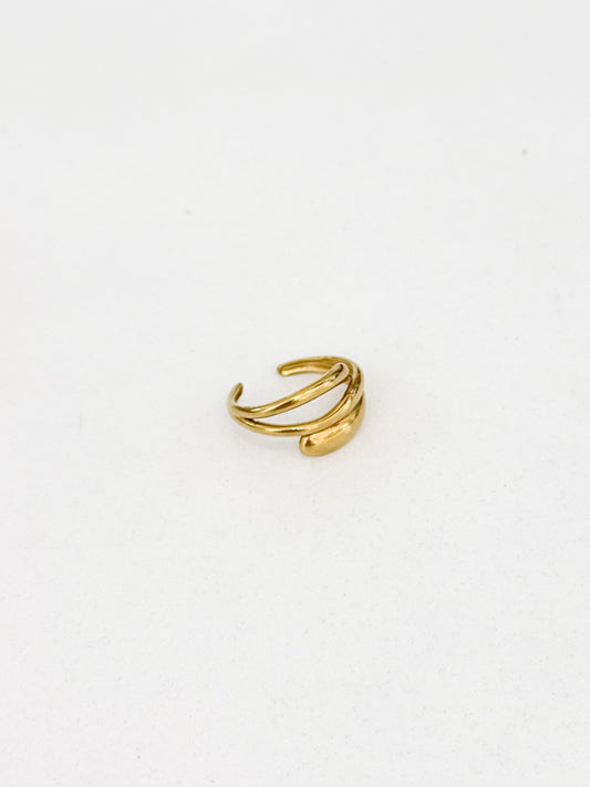 Anillo Dorado AN-35