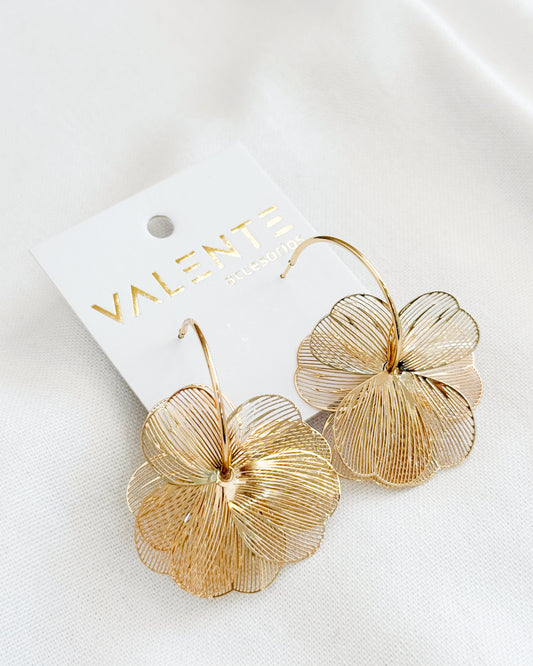 Caravanas Fiesta F549