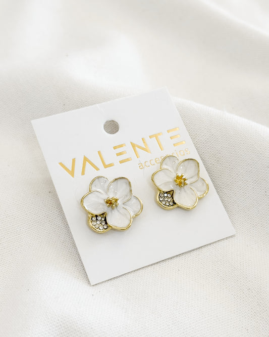 Caravanas Fiesta F585