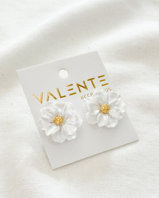 Caravanas Fiesta F565