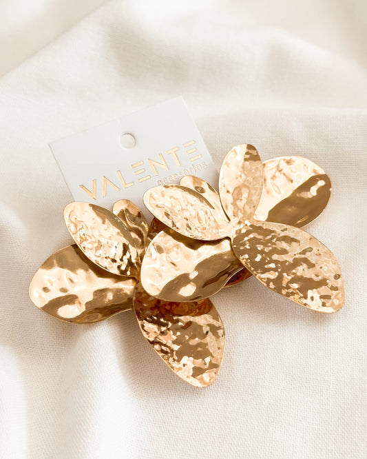 Caravanas Fiesta F555